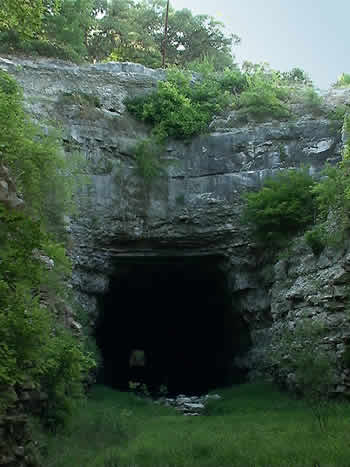 Bat Tunnel Entrance